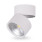 Светодиодный светильник Feron AL541 14W белый
